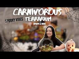 Carnivorous Terrarium Update & Spooky Redo 👻🌿