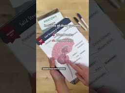 NEW Anatomy Workbook🫀🫁🧠 #RN #BSN #futurenurse