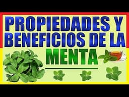 [Menta]Propiedades y Beneficios