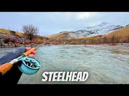 "Chasing Chrome" Fly Fishing Methow Valley's Hidden Gem