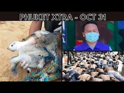 Suspect returns after massacre case expires, Dead turtle tangled in nets off Phuket || Thailand News