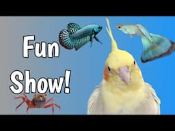 2024 Canadian Fall Pet Expo | Parrots, Dogs, Cats, Alien Betta and More!