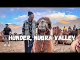 Hunder | Camel safari | Where to stay | ChicAsh Chale Ladakh ( Ep : 15 )