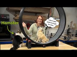 3D printing a GIANT Hamster wheel for my dog?