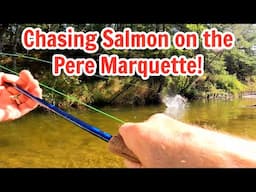 Fly Fishing for Salmon on the Pere Marquette River