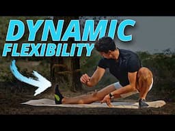 30 Minute Dynamic Flexibility Routine! (FOLLOW ALONG)