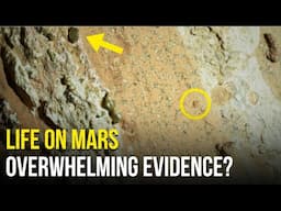 Perseverance Finds Evidence of Life on Mars? This Rock Shocked NASA!