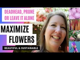 Which Flowers to Deadhead or Not to Deadhead:  Maximize Your Blooms Smartly and Sustainably