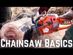 Chainsaws 101: Chainsaw Safety Basics | Safety Tips, Gear | How to Use a Chainsaw Safely