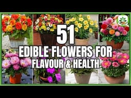 51 Best Edible Flower Plants | Eatable Flowers for Flavour and Health | Plant and Planting