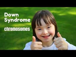 Down Syndrome Chromosomes | How Many?