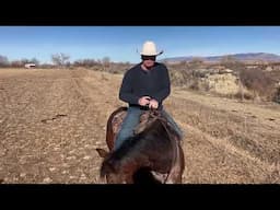 Ken McNabb Challenges Your to Spend Time with Your Horse