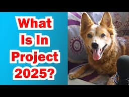 What Is Project 2025? - Radical Reviewer