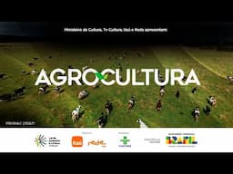 AGROCULTURA | CULTIVO DE MORANGO NO CALOR | 17/11/2024