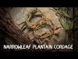 Narrowleaf / Ribwort Plantain Cordage | Cordage from foraged fibres | Ep 2