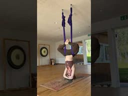 Simplicity #aerialyoga #upsidedown #aerialhammock #aerialyogaflow #airyoga #yoga #inversion