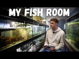 I Finished Building My Fish Room!