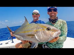 Fishing for Tunas, Sailfish, Jacks and Dolphin