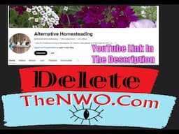 Conversation Between Targeted Individuals - Viorel Serb & Lorraine Alternative Homesteading (Part 1)