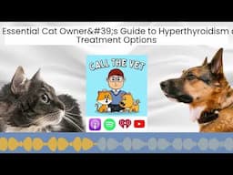 The Essential Cat Owner's Guide to Hyperthyroidism and Treatment Options