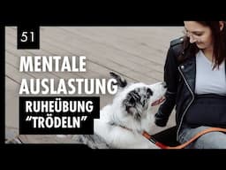 Entspannungstraining für Hunde: Trödeln in der Öffentlichkeit | Tag 51