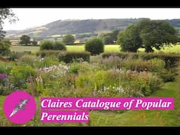 Claires Catalogue of Popular Perennials