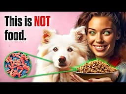 The Sad Reality of Dog Food