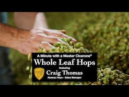 Minute with a Master Craig Thomas - Whole Leaf Hops