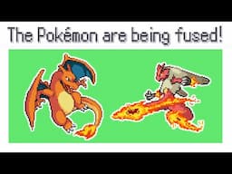 When a Blaziken loves a Charizard...