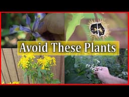 5 Poisonous Plants You NEED TO KNOW!!