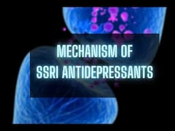 Selective Serotonin Reuptake Inhibitor Mechanism of Action