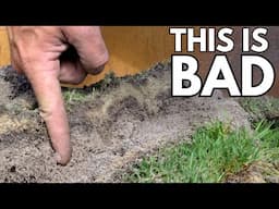 Sand Leveling LAWNS: What They DON'T tell you.