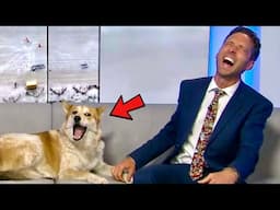 Best News Bloopers August 2024