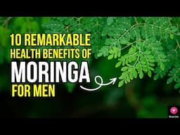 10 Remarkable Health Benefits of Moringa for Men | #moringa | #moringabenefits | Blissed Zone