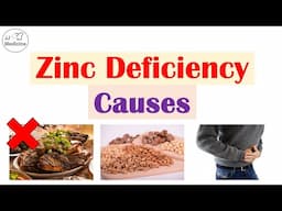 Causes of Zinc Deficiency | Dietary Choices (ex. Seeds and Nuts), Gastrointestinal, and Other