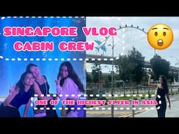 Singapore Vlog 5 l Singapore Vlog 2024l Indigo Cabin Crew l Singapore Flyer lJewels Changi Airport✈️