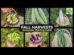 November Gardening Guide: What to Plant & Fall Harvest Bounty!