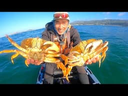 DUNGENESS CRAB Opening Day 2024 - Can I get a limit?