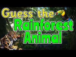 GUESS THE RAINFOREST ANIMAL QUIZ 🦧🦜🐆 Miss Ellis