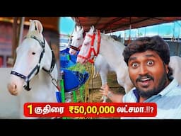 🔴World Biggest Horse Market | அந்தியூர் குதிரை சந்தை | Anthiyur Horse Fair 2024