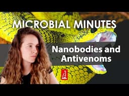 Phage Display and Nanobodies: Treating Venomous Snake Bites