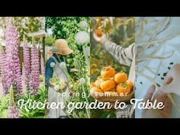 From kitchen garden to table: Spring/Summer - California Seasonal Cooking with backyard harvest