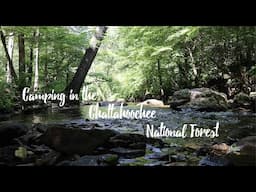 Camping in the Chattahoochee National Forest