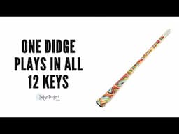 The Affordable Chromatic Slide Didgeridoo that Plays in All 12 Keys