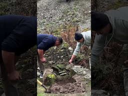 Giant Fish Cooked Outdoors in the Wilderness 🐟 🔥