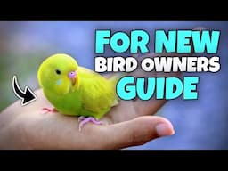 New Bird Owner? Don’t RUIN Everything – Watch THIS!