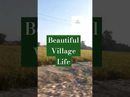 Beautiful village life #trending #reels #viralvideo #short #shorts