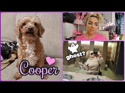 Ghost in the airport?? + update on Cooper :( + bedside drama..