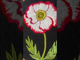 Poppy hoop #embroidery