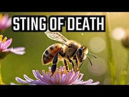 Why Do Bees Die After They Sting?